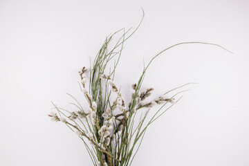 bouquet of twigs and seals spring background