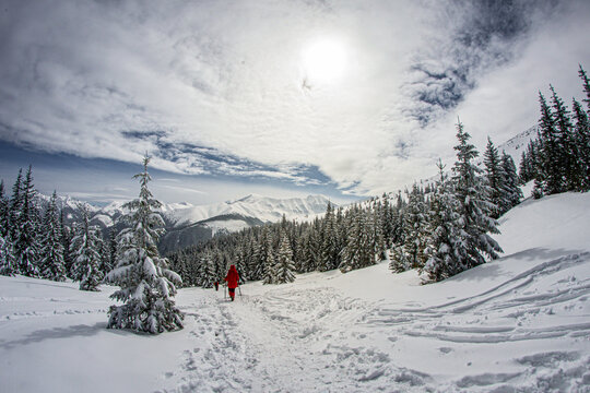 Fototapeta Tatry Zachodnie - droga na Grzesia zimą 
