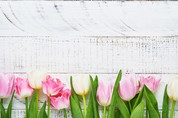 Pink and white tulips on white wooden background. Floral pattern. Greeting card. Mock up. Space for text.
