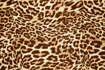 Plexiglas foto achterwand Leopard background texture safari pattern leopard print fabric material design. © Anna Žolnay