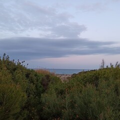 sunset over the river