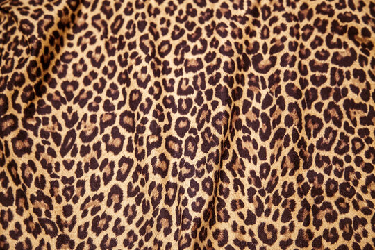 Leopard background pattern animal print leopard textile design fabric. Leopard skin seamless pattern.