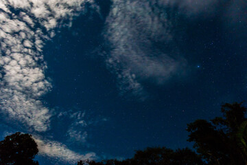 Night sky in the Cuyabeno Natural Reserve, Amazon Rainforest, Ecuador