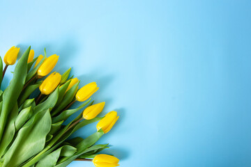 Spring yellow tulips. Woman holding a bouquet on blue background. Flat lay, top view. Tulip flower background. Add your text.
