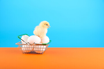 chick and supermarket basket with eggs are on colored background  © Petr Smagin
