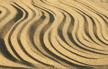 Fototapeta na wymiar background of sand by the sea
