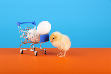 chick and supermarket cart with eggs on colored background with copy space
