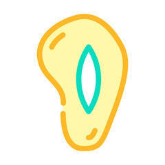 cut mango food color icon vector illustration