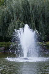 Water fountain in the park against the background of trees