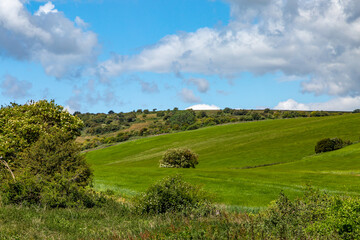 Fields in the South Downs on a sunny summers day