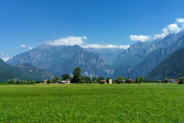 Obraz premium Landscape of Valtellina at summer near Dubino