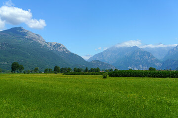 Landscape of Valtellina at summer near Dubino