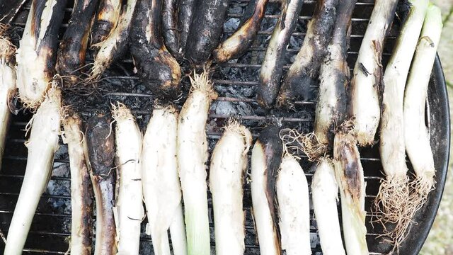 catalan calcots on thebarbecue 
