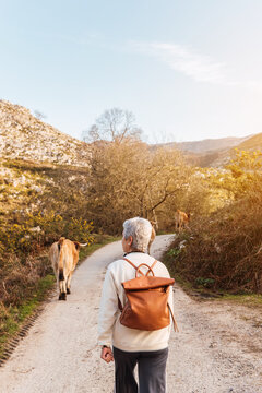 Older Woman From Behind Doing Hiking. Pensioner Enjoying Her Retirement. Elderly Activities.