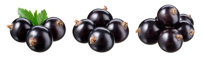 Black currant isolate. Currant black on white background. Side view. With clipping path. Set with full depth of field.