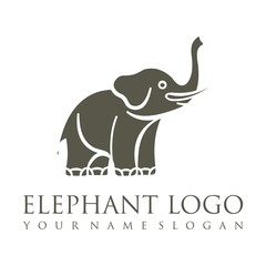 Elephant outline logo, simple vector illustration of the elephant. Elegant one line lucky elephant for children ur business usage. Outlined baby elephant, wildlife or zoo.