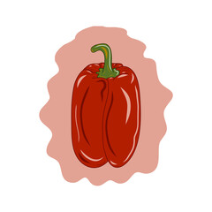 Red paprica illustration. Idea for decors, logo, icon, gifts, ornaments, celebrations, invitation, greeting, meeting, spring holidays, nature themes. Ready-made artwork. Isolated vector. 