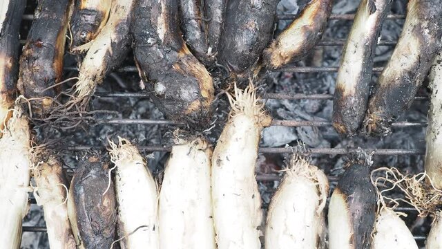 catalan calcots on thebarbecue 