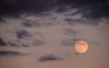 Full Moon