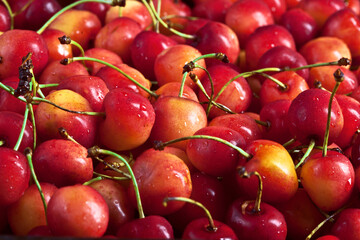 photo texture of many fresh bright ripe sweet cherries background