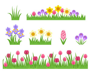 Green grass and spring flowers set. Seamless border with tulips. Daffodil, iris, crocus and hyacinth isolated on white background. Vector cartoon flat simple illustration.