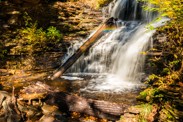 Fototapeta premium colorful autumn foliage with calming cascading waterfall in Pennsylvania.