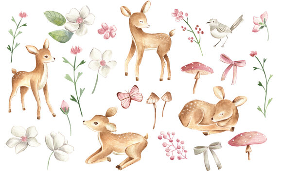 Baby deers watercolor forest woodland animal pink