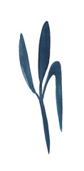 Watercolor leaf for decorative use of patterns, wedding and spring themes	
