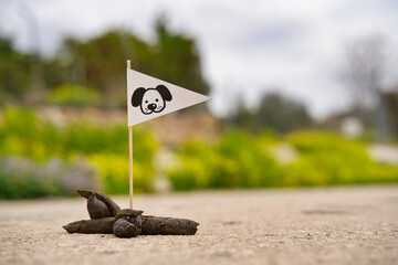 Dog Excrement in the Street
