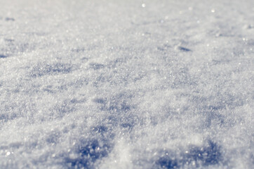 Snowy white field in the forest.
