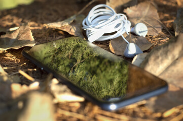 Cell phone reflecting tree branches, on sawdust and wood base with dry autumn leaves covering it