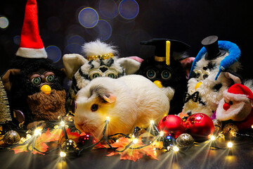 Weihnachten mit Furbys