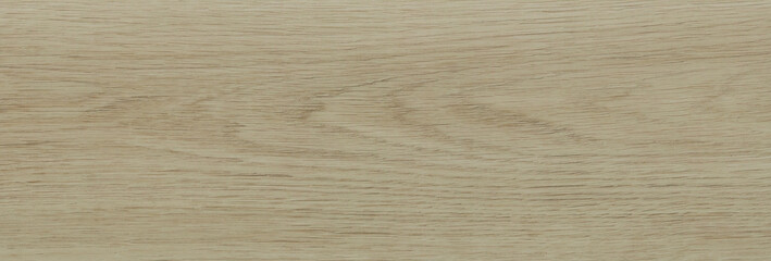 Naklejka premium Wood texture background. Rough Wooden Surface with natural pattern