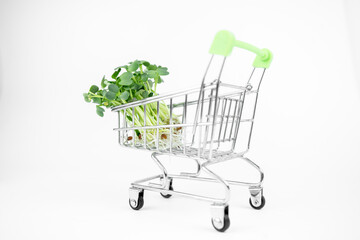 Fresh eco farming greens delivery concept, young microgreens in a shopping cart on white background