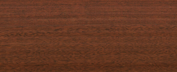 Wood texture background. Rough Wooden Surface with natural pattern