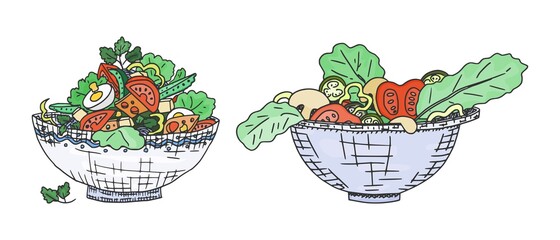 a selection of vegetarian and meat salads. doodle