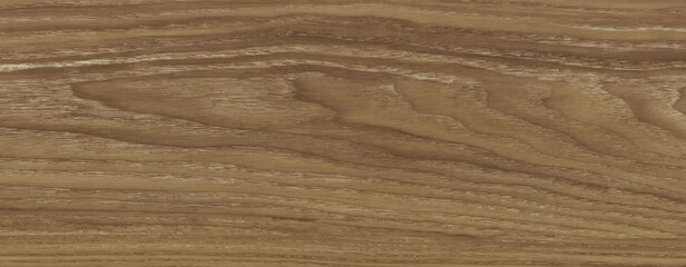 Wood texture background. Rough Wooden Surface with natural pattern