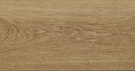 Wood texture background. Rough Wooden Surface with natural pattern