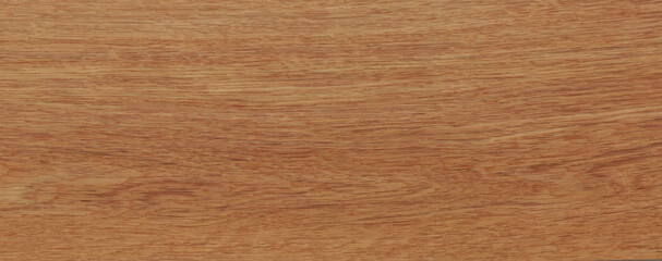 Wood texture background. Rough Wooden Surface with natural pattern