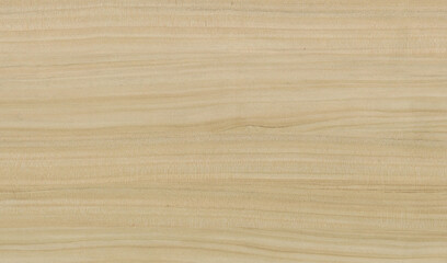 Naklejka premium Wood texture background. Rough Wooden Surface with natural pattern