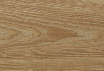 Wood texture background. Rough Wooden Surface with natural pattern