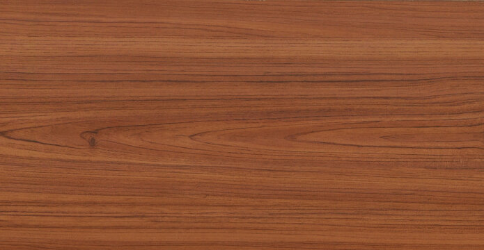 Wood texture background. Rough Wooden Surface with natural pattern