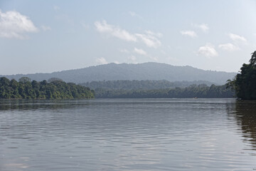 Panorama vu sur le fleuve Maroni en Guyane française © galaad973