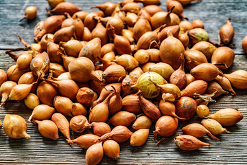 lot of yellow onions on wooden table