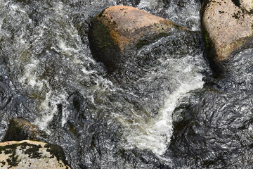 Fototapeta premium River