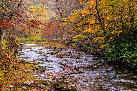 colorful autumn landscape image taken in Western Maryland.