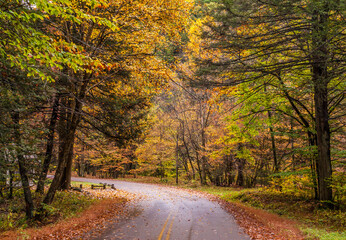 Obraz premium road trip on open road and highway traversing vibrant autumn woods