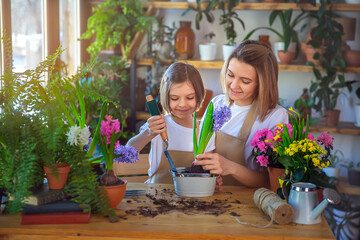 Cute child girl helps her mother to care for plants. Mom and her daughter engaged in gardening. Happy family in spring day.