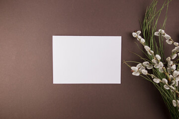 seals plant branches on a white background with white paper