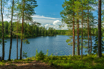 Lush green view from a small lake in a forest in Sweden - Powered by Adobe